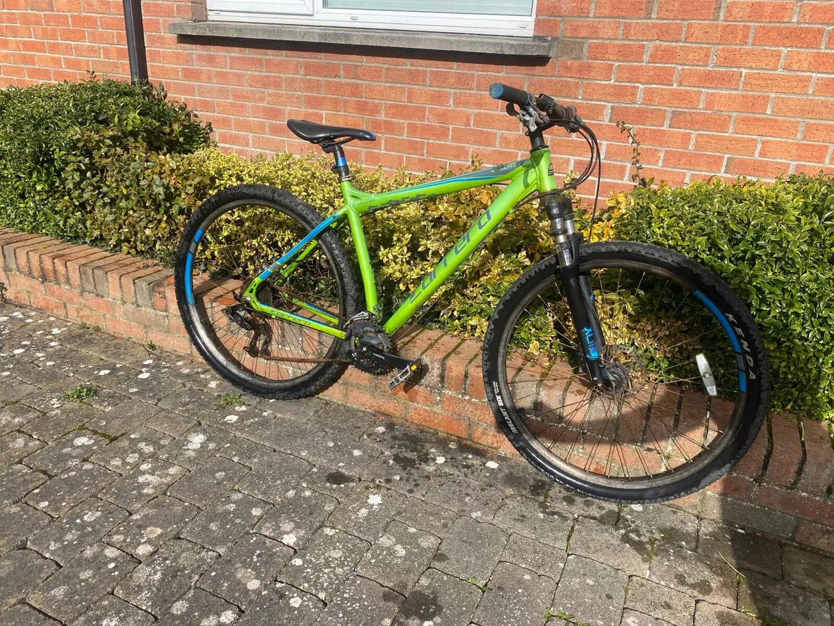 Carrera sulcata ltd edition