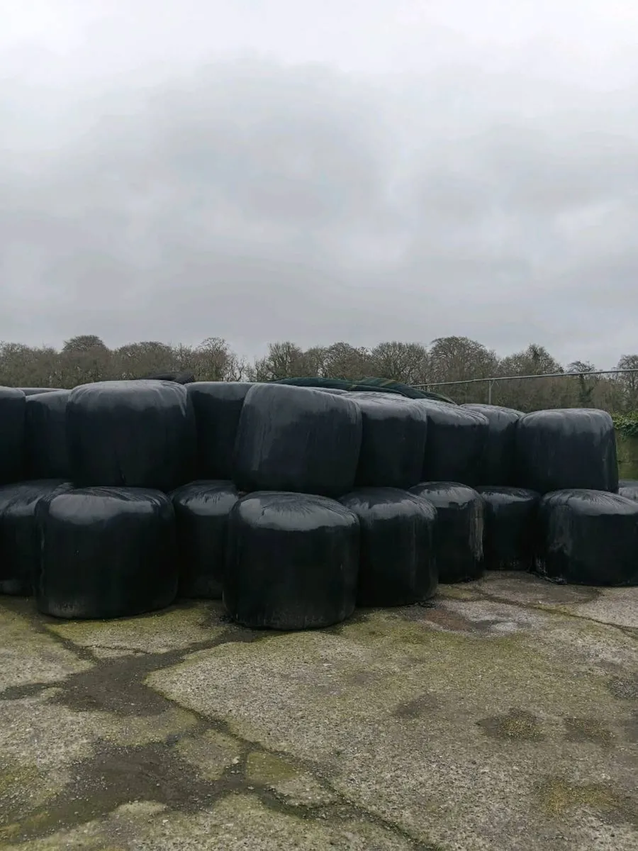 Silage - Image 1