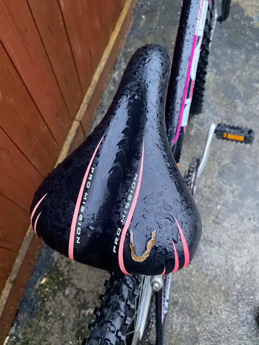 Ladies bike - Image 2