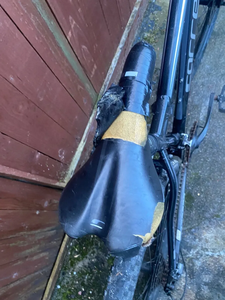 Carrera vengeance - Image 4