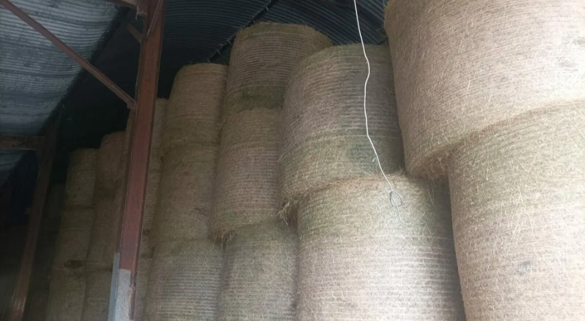 First crop Hay