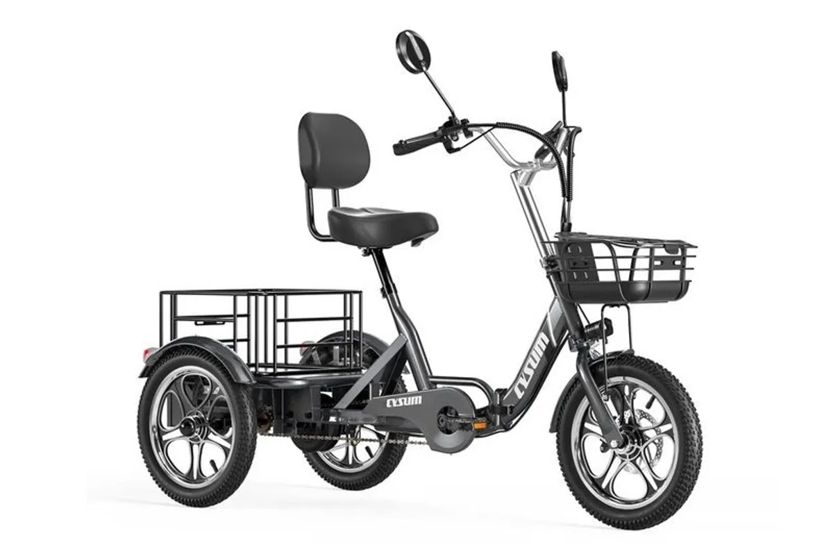 Electric Tricycle Bike Cargo Bike with free delivery - Image 1