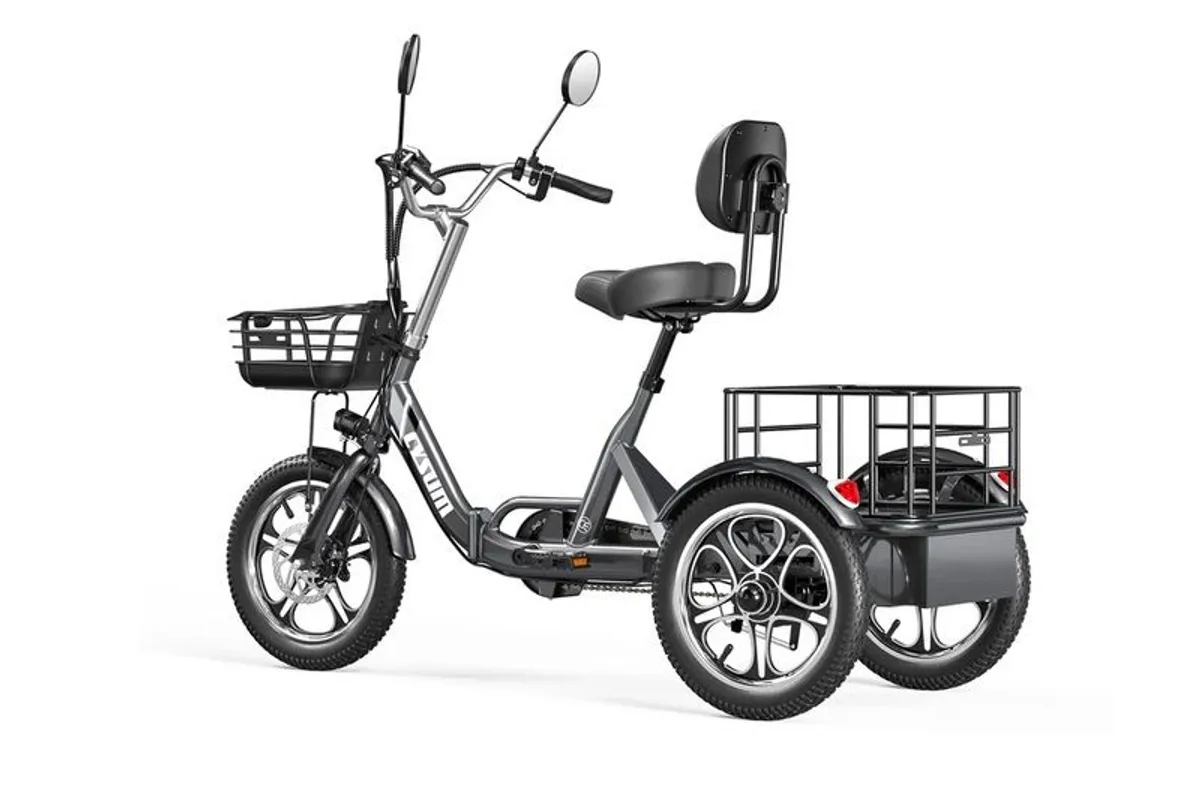 Electric Tricycle Bike Cargo Bike with free delivery - Image 2
