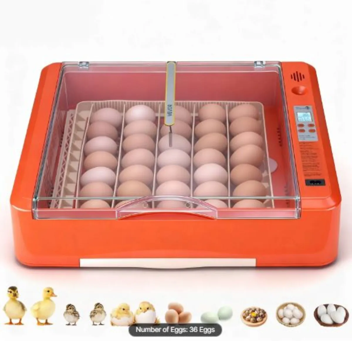 36 Egg Incubator, Automatic Egg Turner with LED - Image 1
