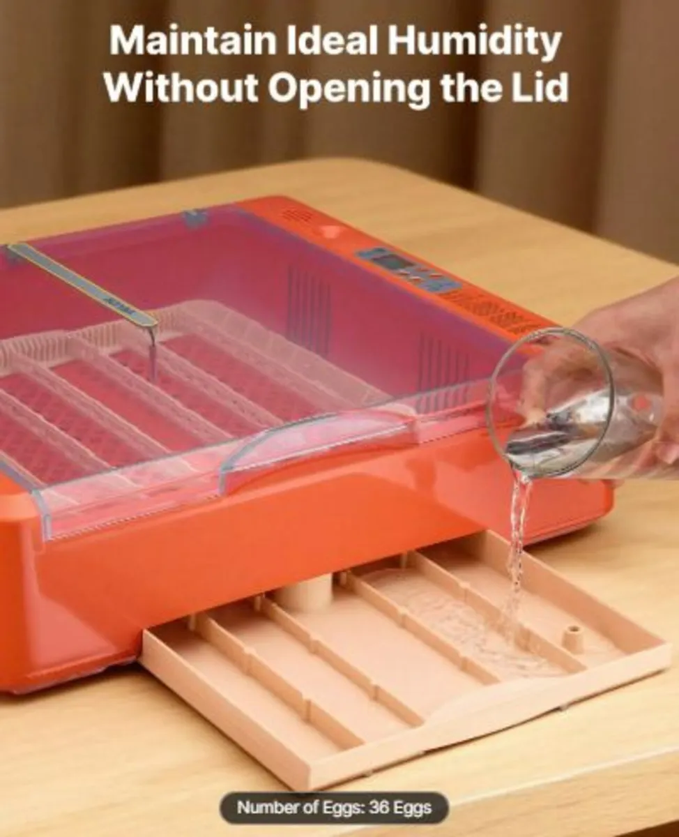 36 Egg Incubator, Automatic Egg Turner with LED - Image 2