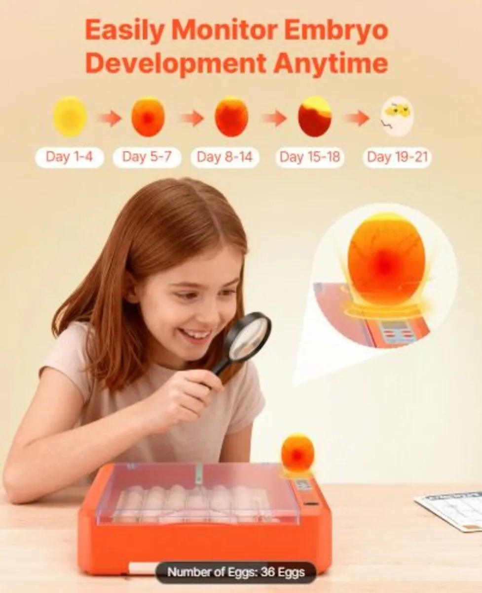 36 Egg Incubator, Automatic Egg Turner with LED - Image 3