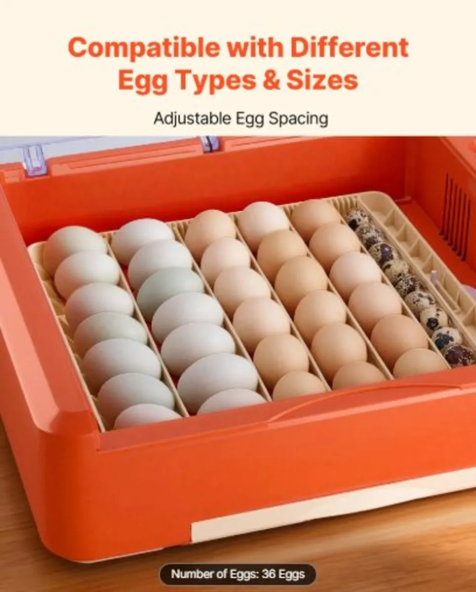 36 Egg Incubator, Automatic Egg Turner with LED - Image 4