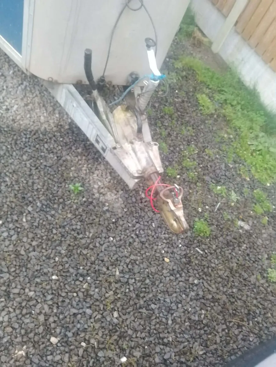 Ifor williams horsebox - Image 4