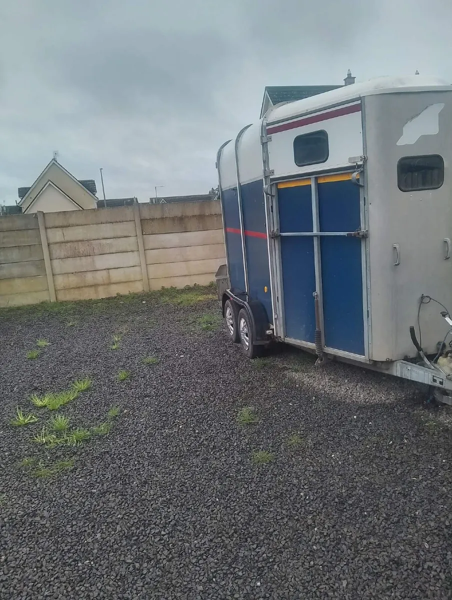 Ifor williams horsebox - Image 3