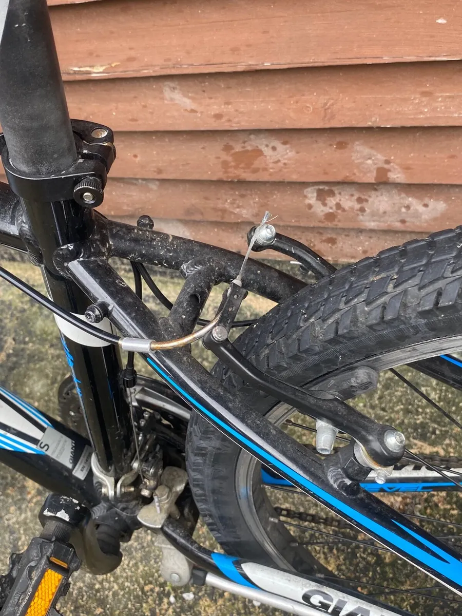 Giant revel - Image 3