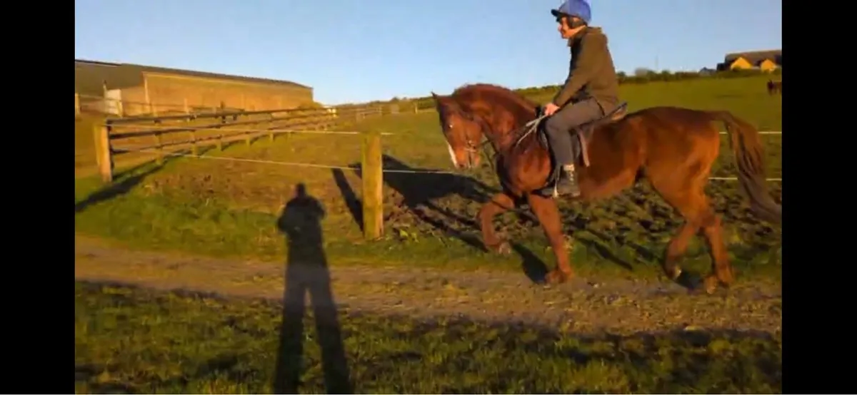 Smashing cob 15.1 - Image 3