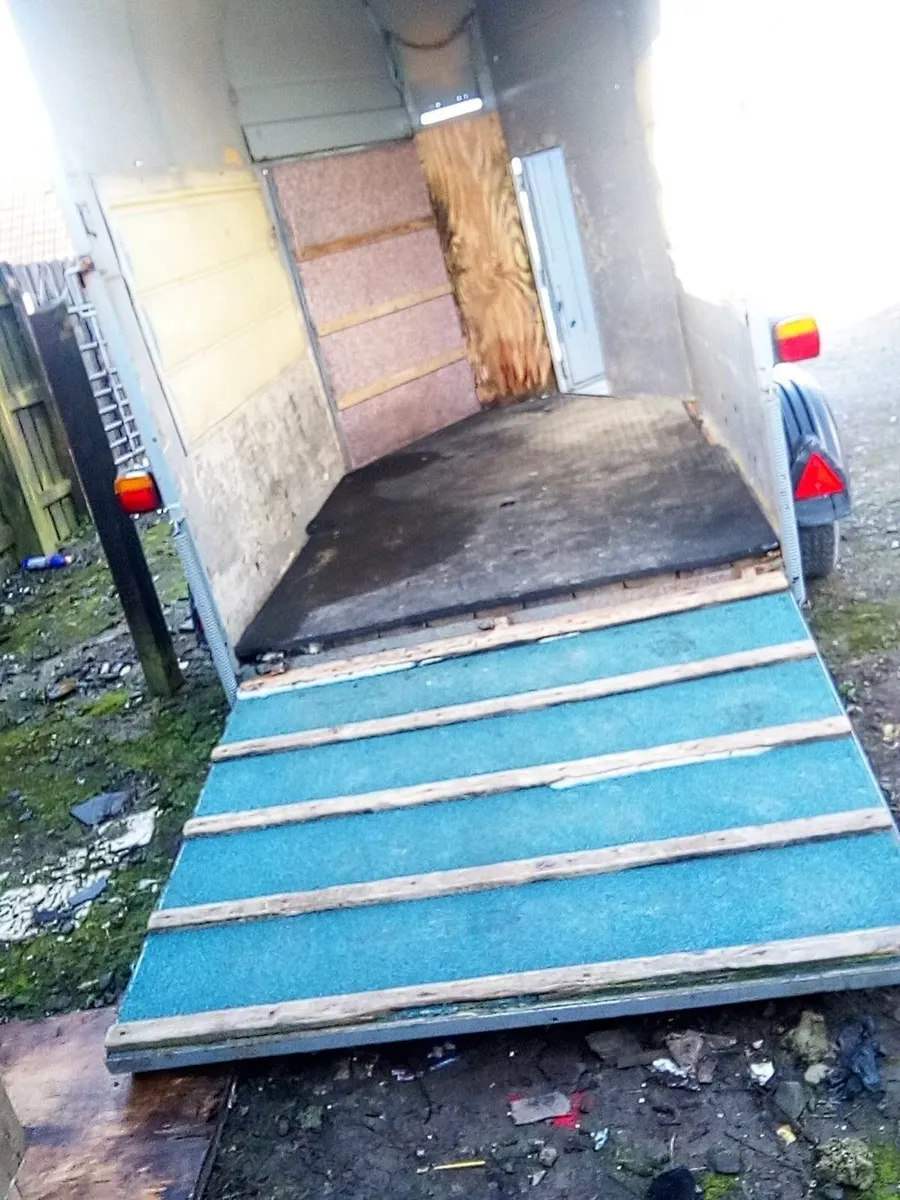 double horse box,  great coffee shop conversion? - Image 4