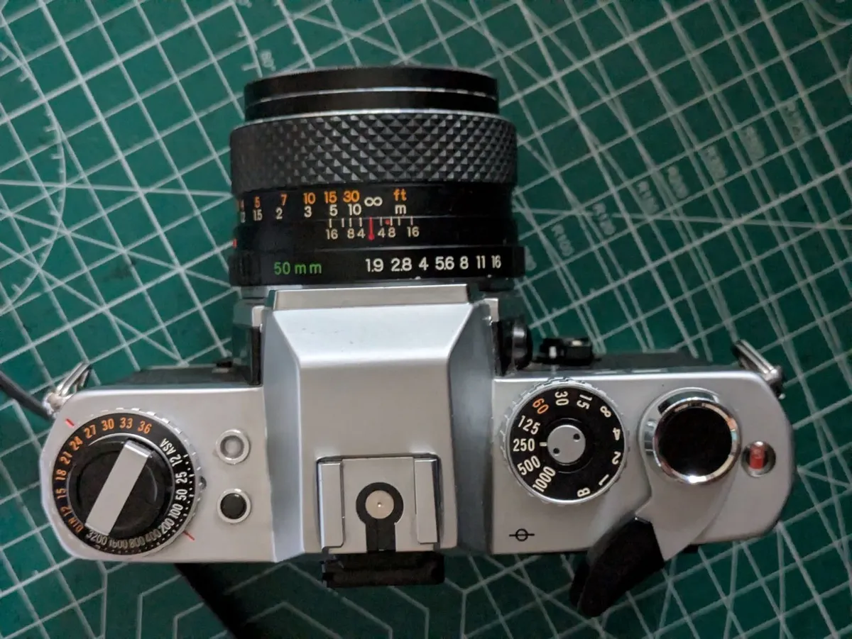 🎞️ Yashica FR + 50/1.9 - Image 2