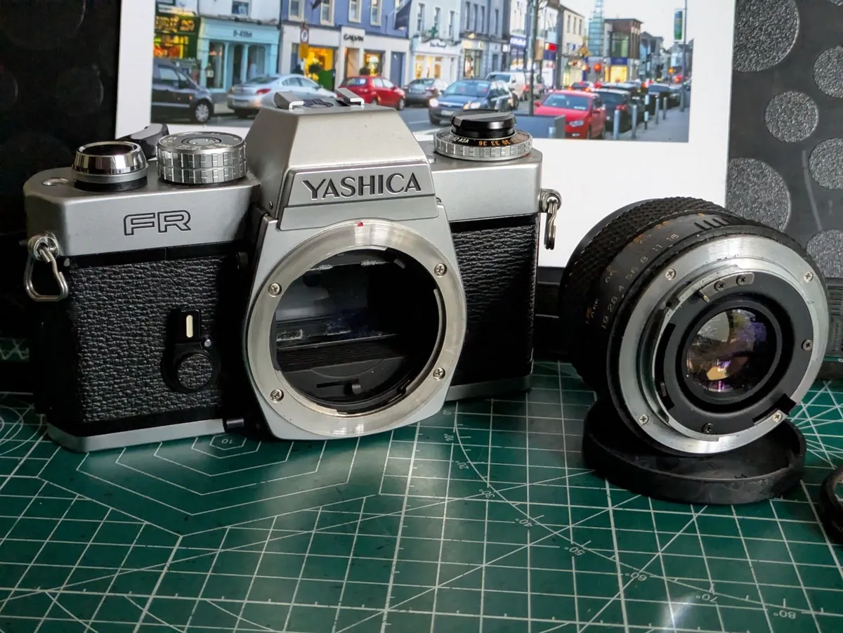 🎞️ Yashica FR + 50/1.9 - Image 3