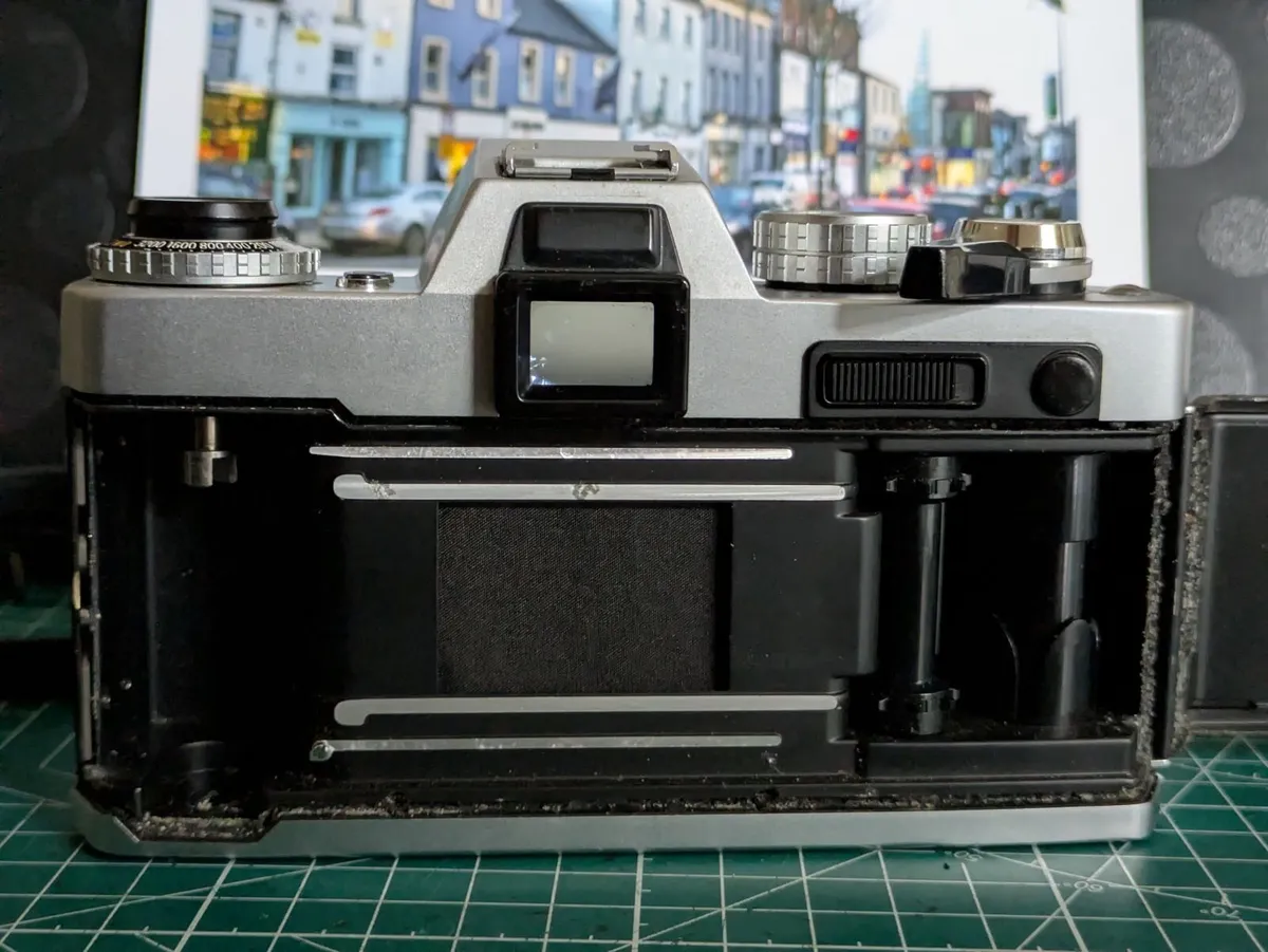 🎞️ Yashica FR + 50/1.9 - Image 4