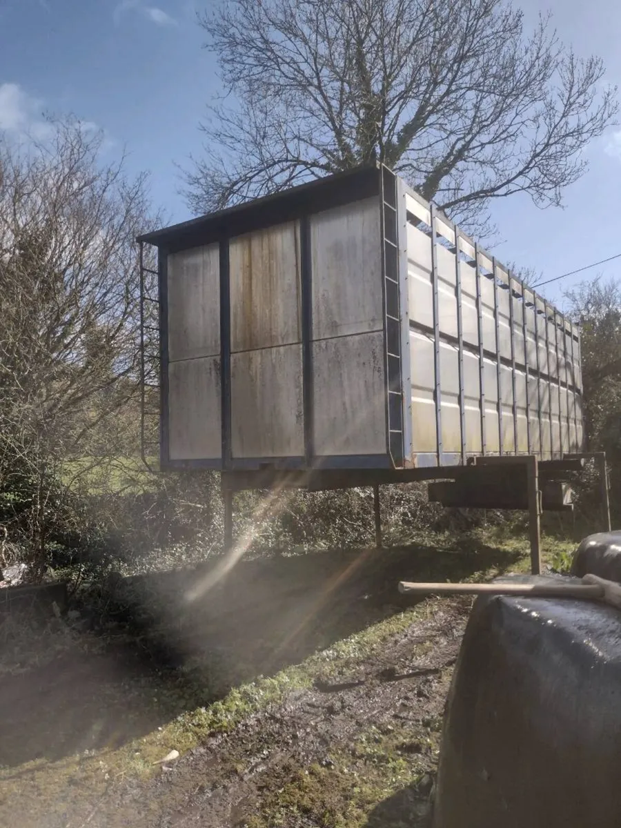 Cattle body - Image 1