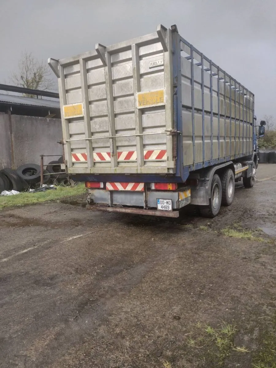 Cattle body - Image 2