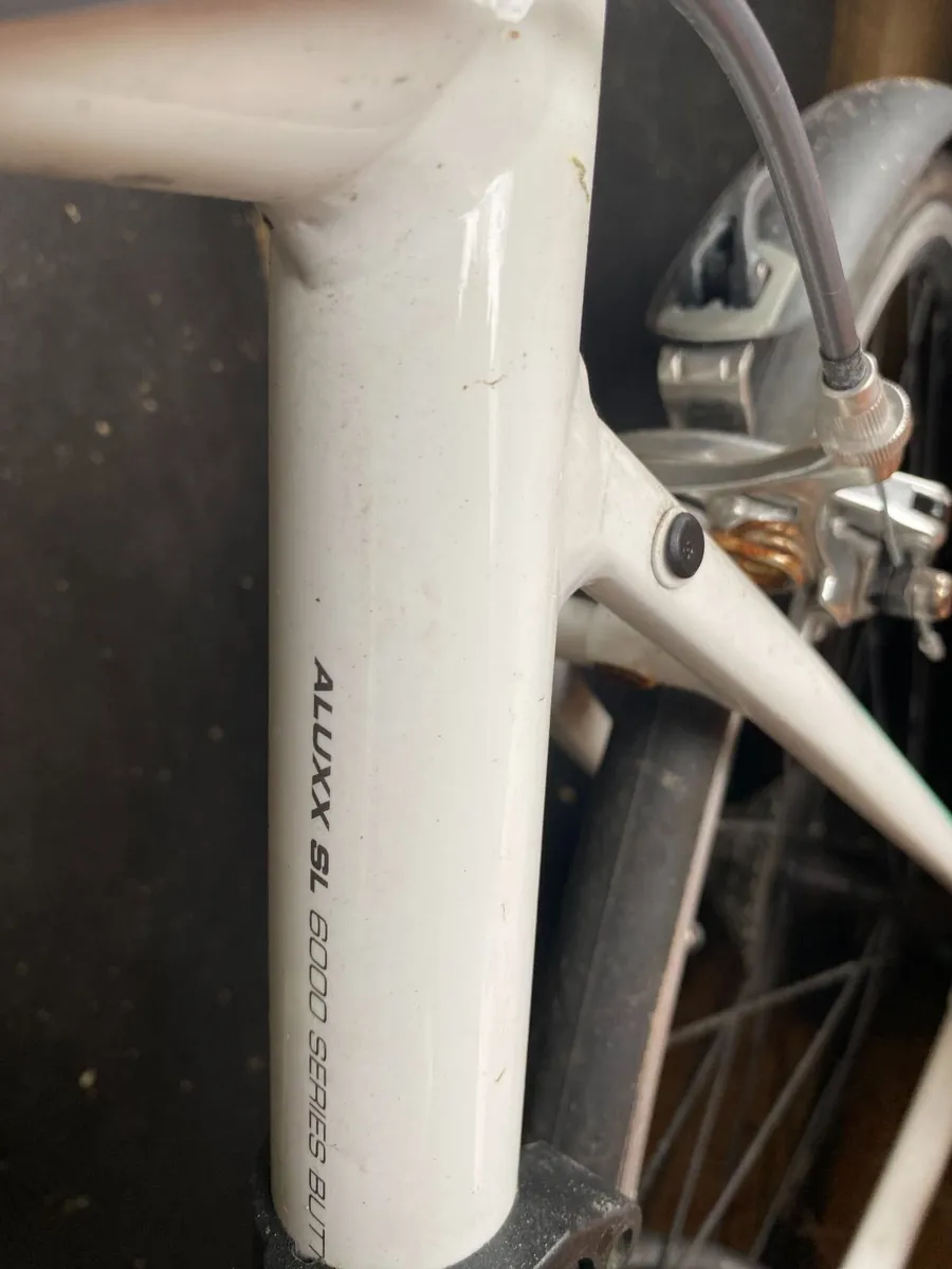 Bike for sale - Image 2