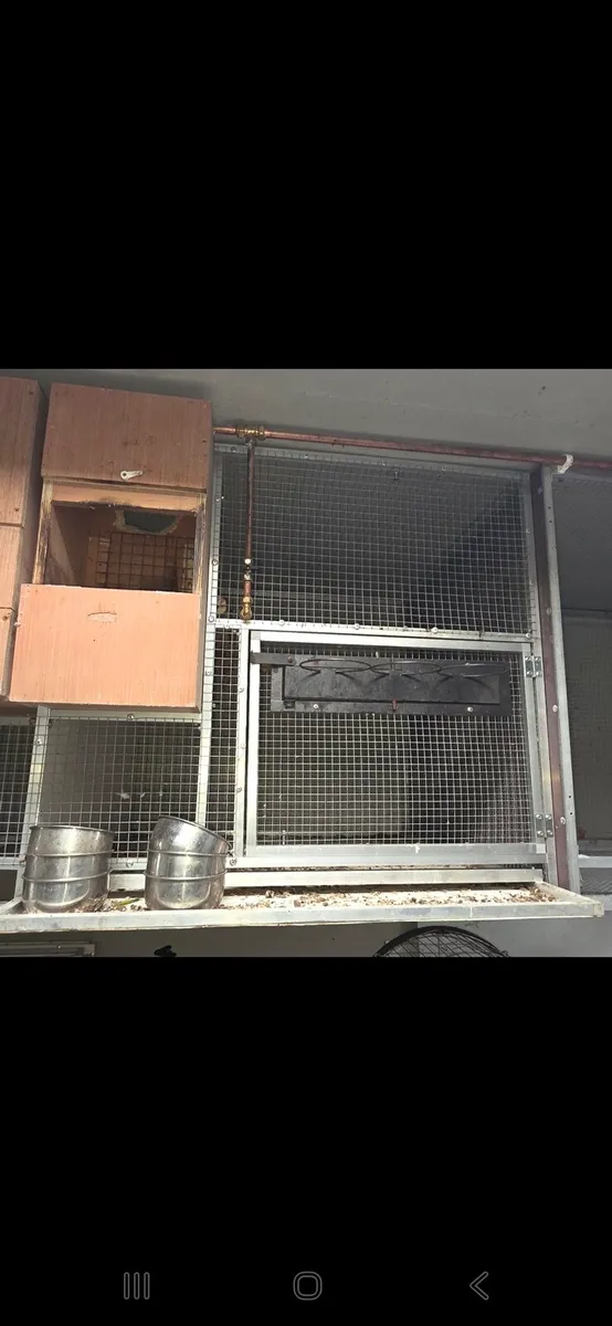 Aluminium cagees - Image 1
