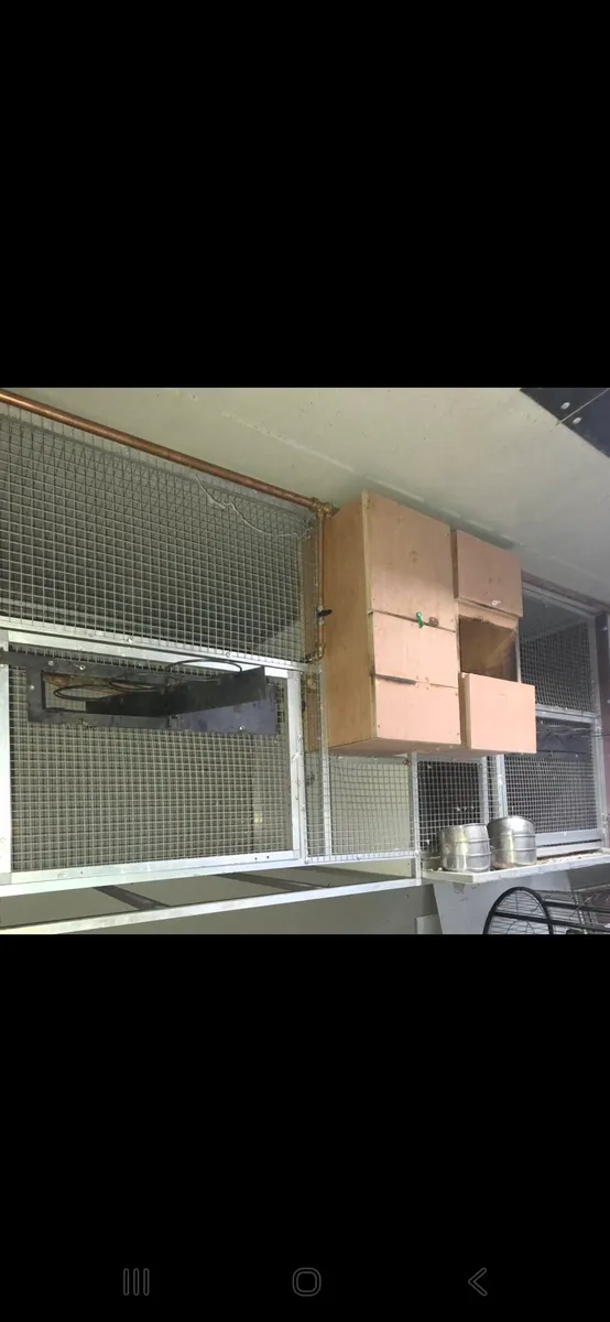 Aluminium cagees - Image 2