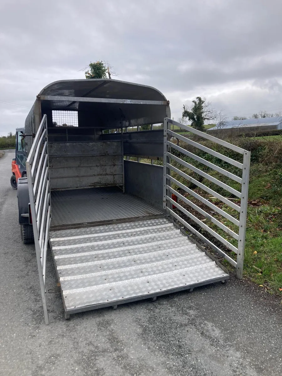 Nugent 12x6 Cattle Trailer - Image 3