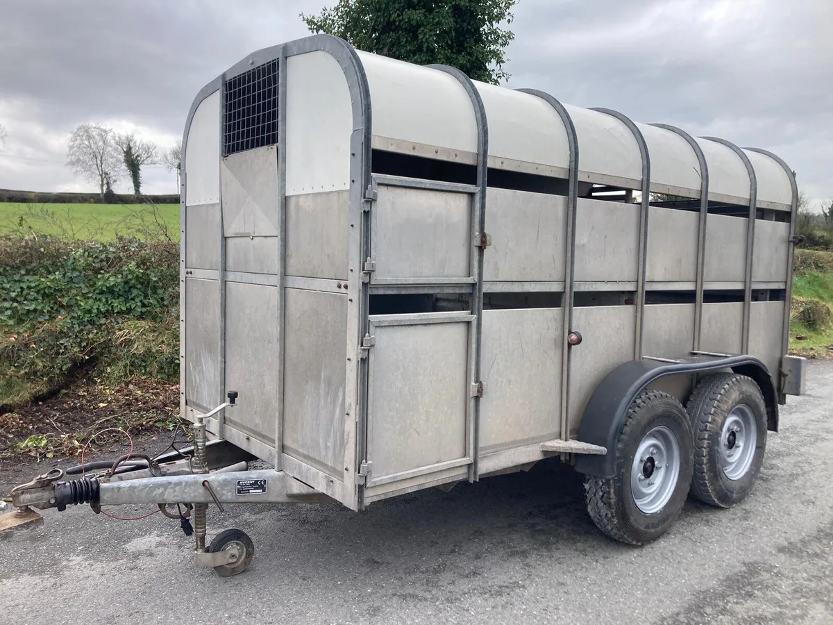 Nugent 12x6 Cattle Trailer - Image 1