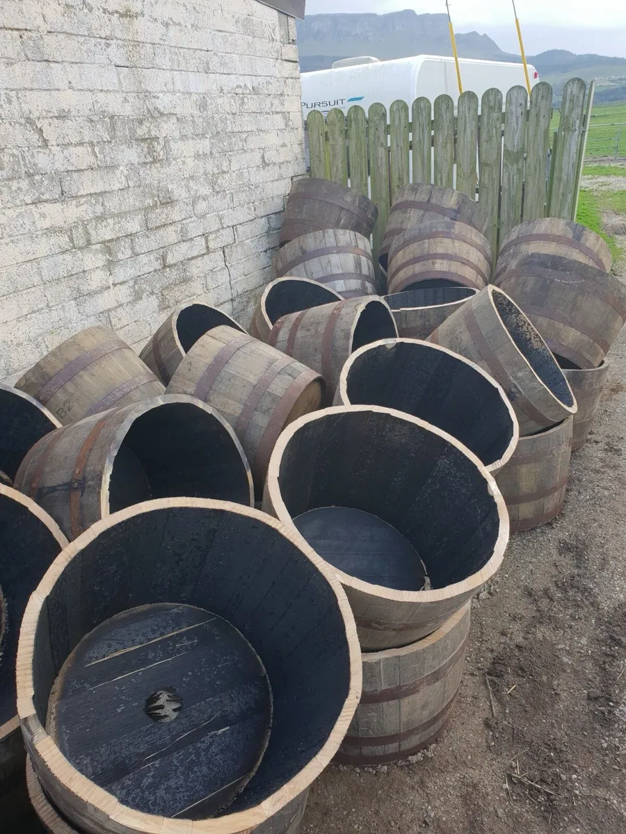 Whiskey Barrels - Image 3