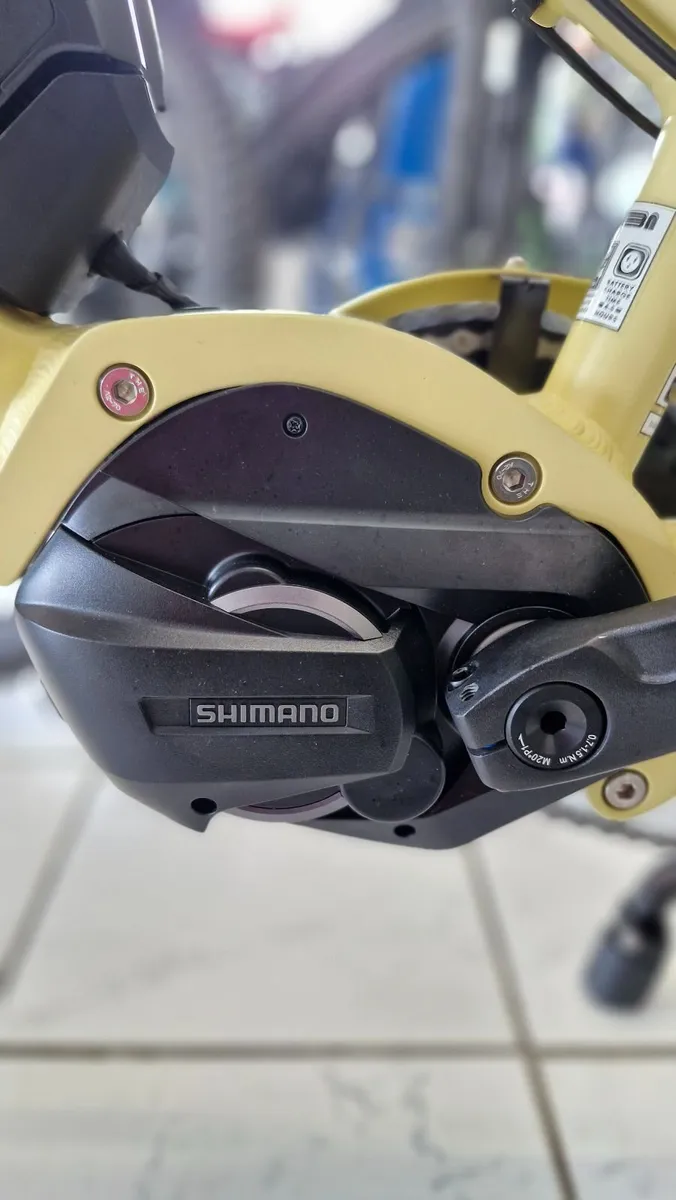 YUBA FASTRACK FAMILY E-CARGO - Image 3