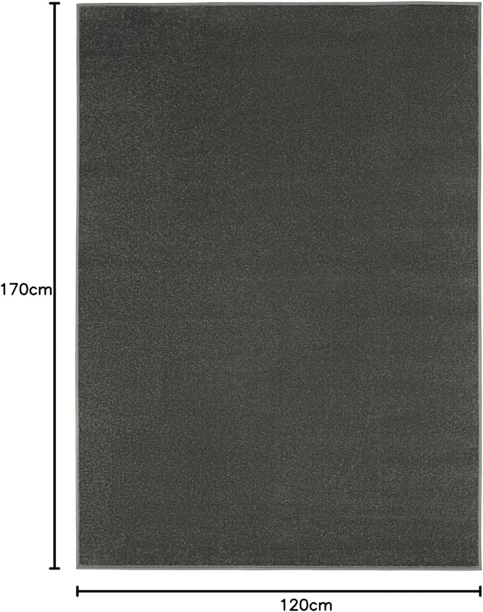 Mono Area Rug Indoor Short Pile Plain Dark Grey - Image 2