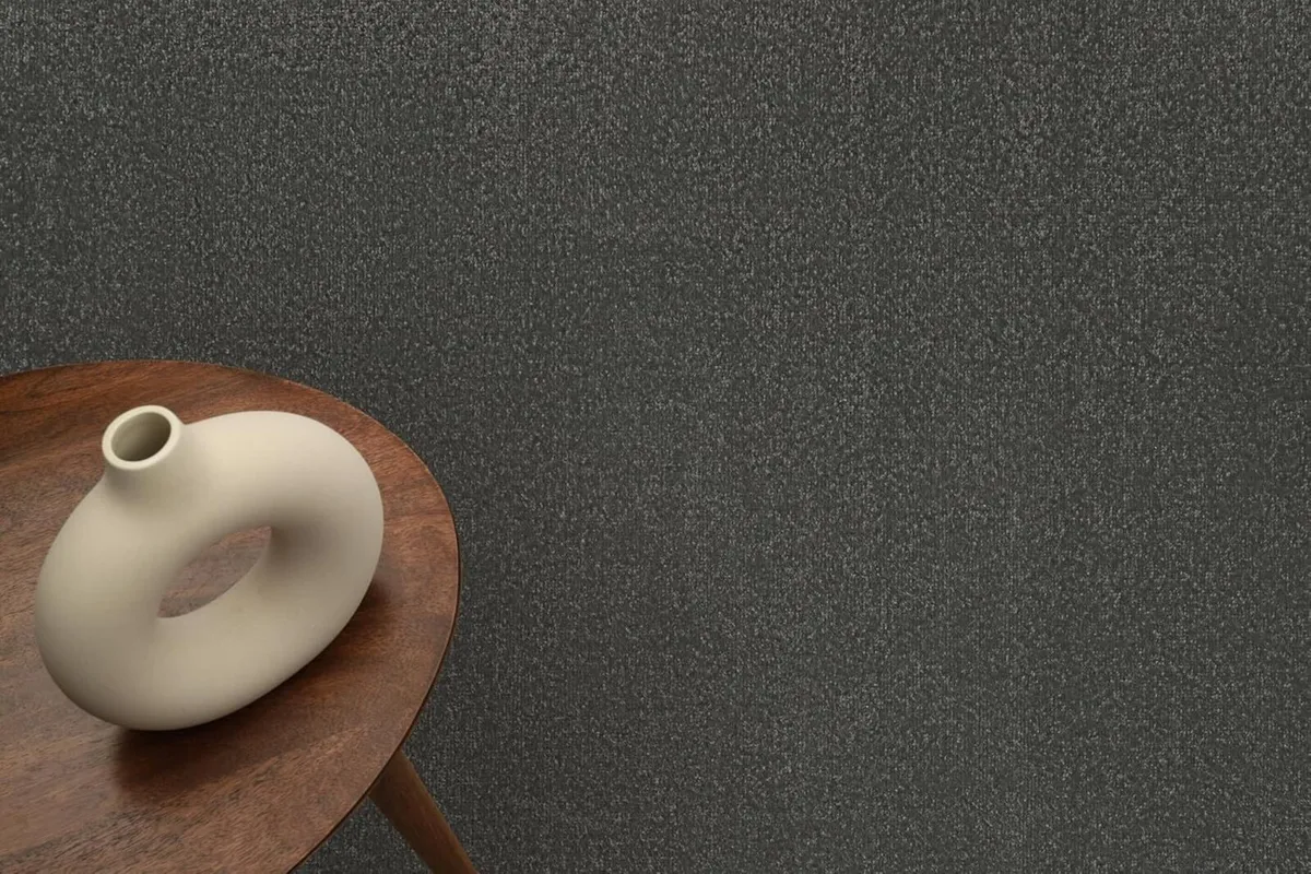 Mono Area Rug Indoor Short Pile Plain Dark Grey - Image 4