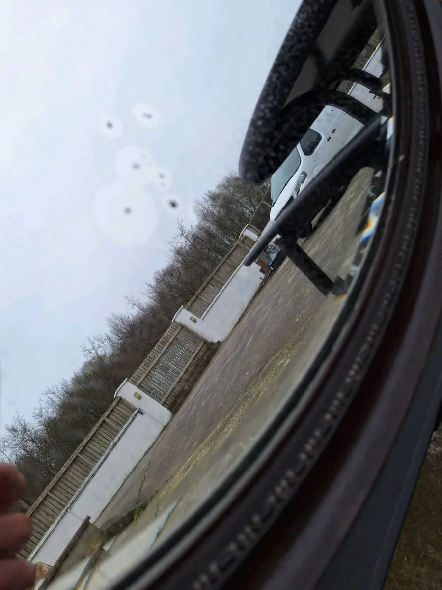 Antique oval bevelled mirror - Image 3