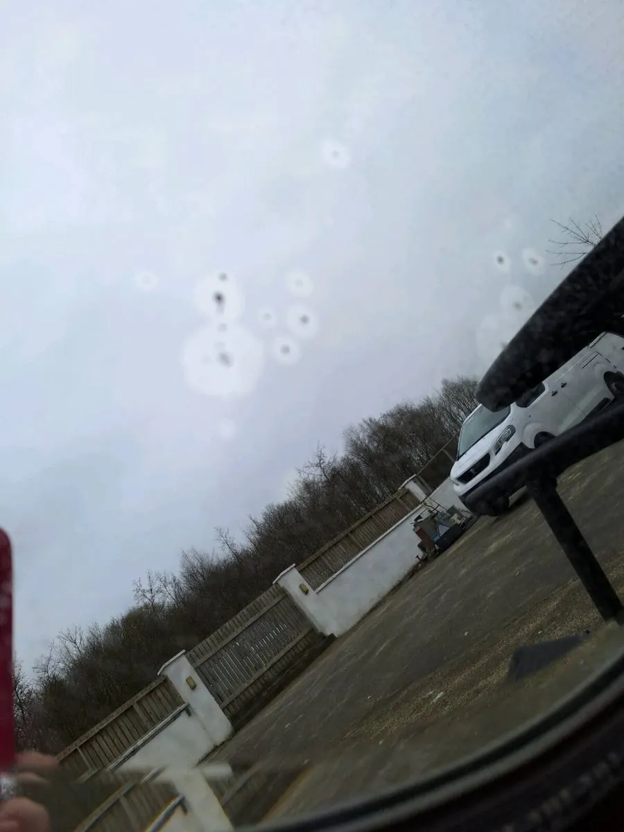 Antique oval bevelled mirror - Image 4