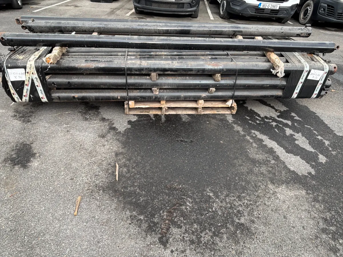 Various sized rams - Image 1