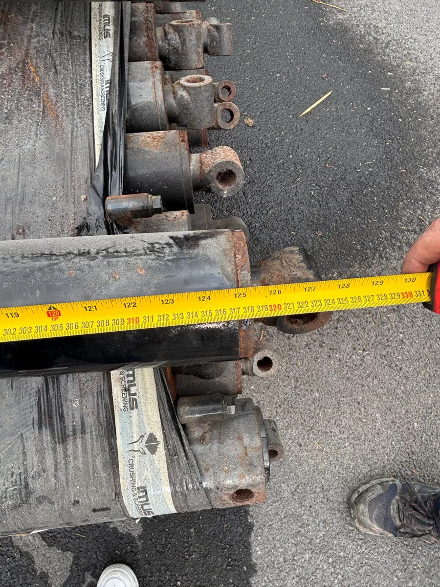 Various sized rams - Image 2