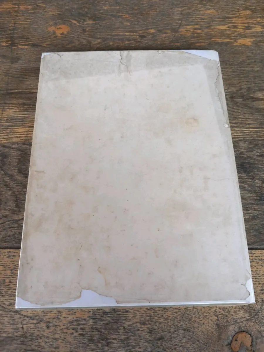 Curly Wee and Gussie Goose, Independent News Ire - Image 2