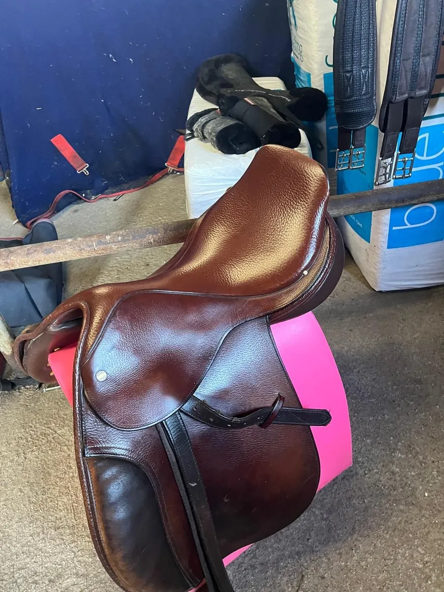 Jumping Saddle - Image 3