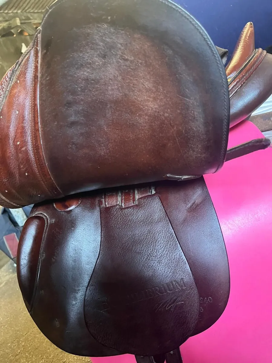 Jumping Saddle - Image 4