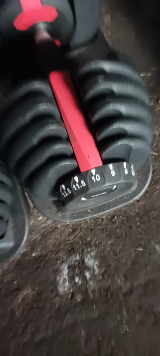 Gym Equipment - Image 4