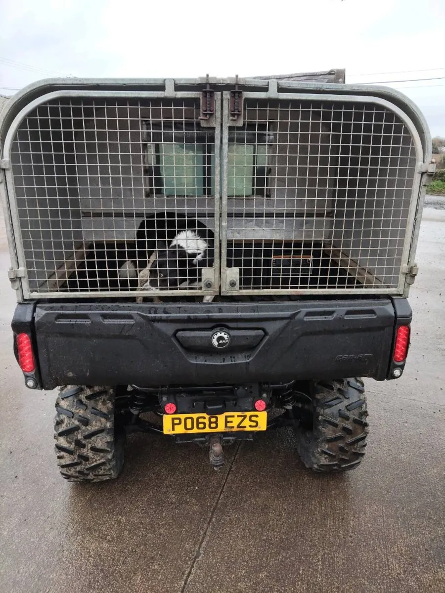 Canam traxter hd8 - Image 4