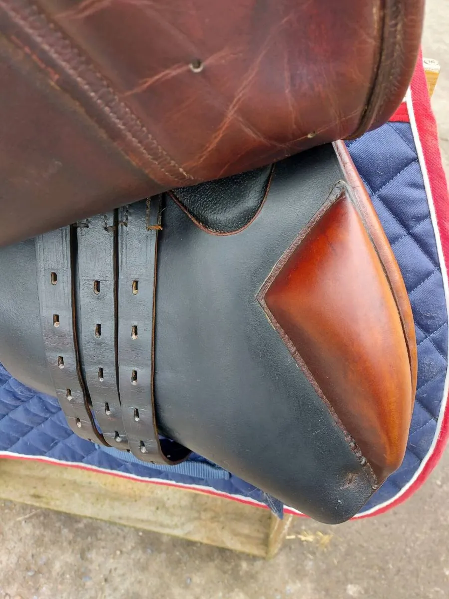 GFS JUMP SADDLE - Image 2