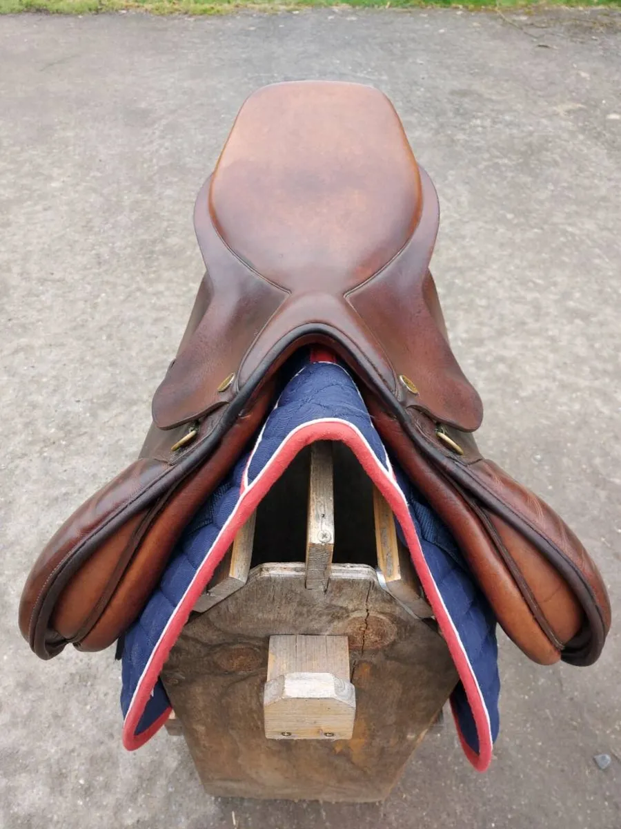 GFS JUMP SADDLE - Image 3