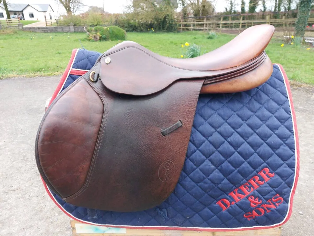 GFS JUMP SADDLE - Image 4