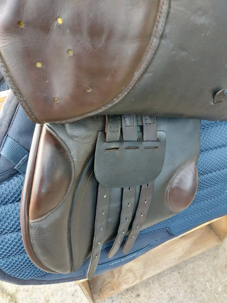 IDEAL INTERNATIONAL JUMP SADDLE - Image 2