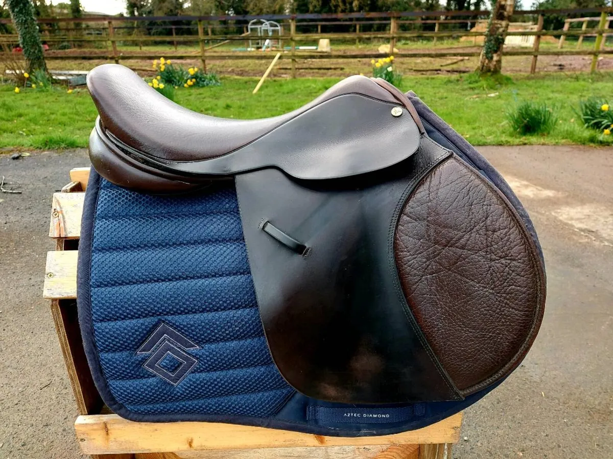 IDEAL INTERNATIONAL JUMP SADDLE - Image 3