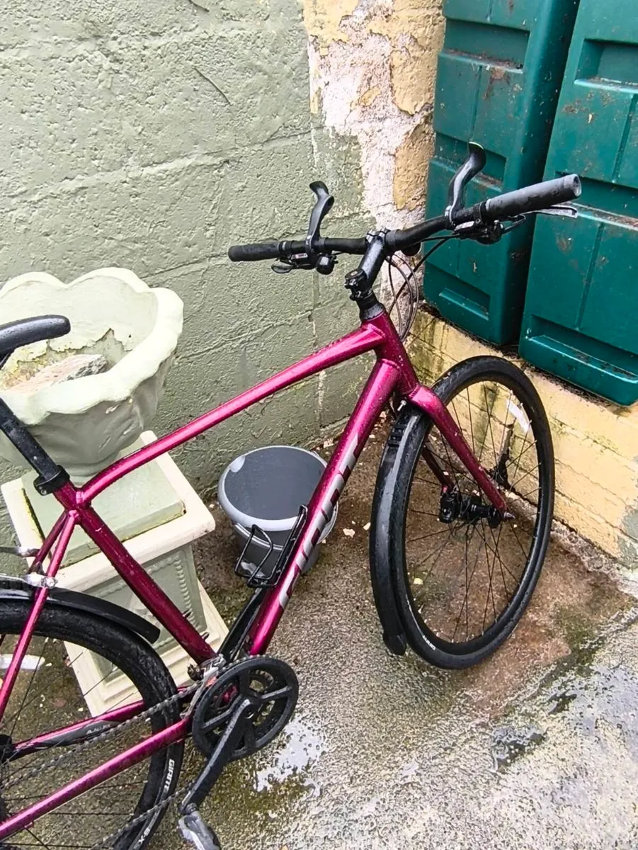 Mens giant bike - Image 2