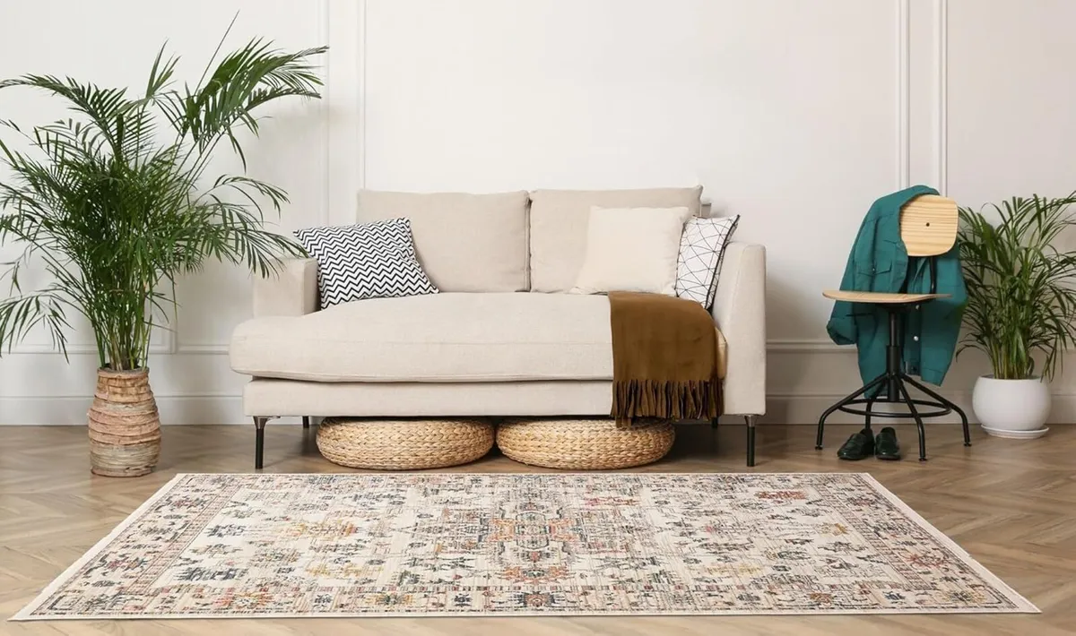 Nova Traditional Rug for Living Room Bedroom - Image 1