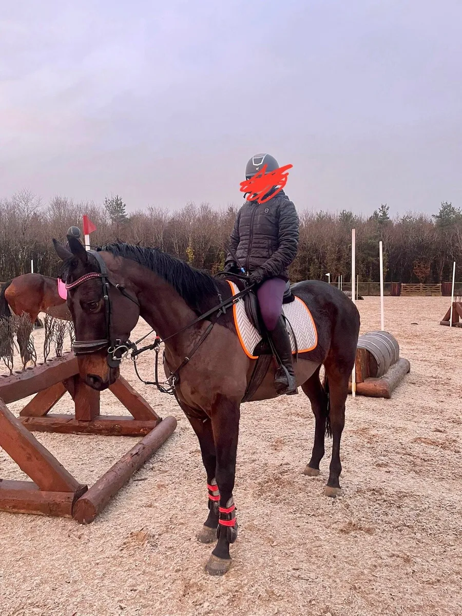 Super Fun All rounder - Image 4