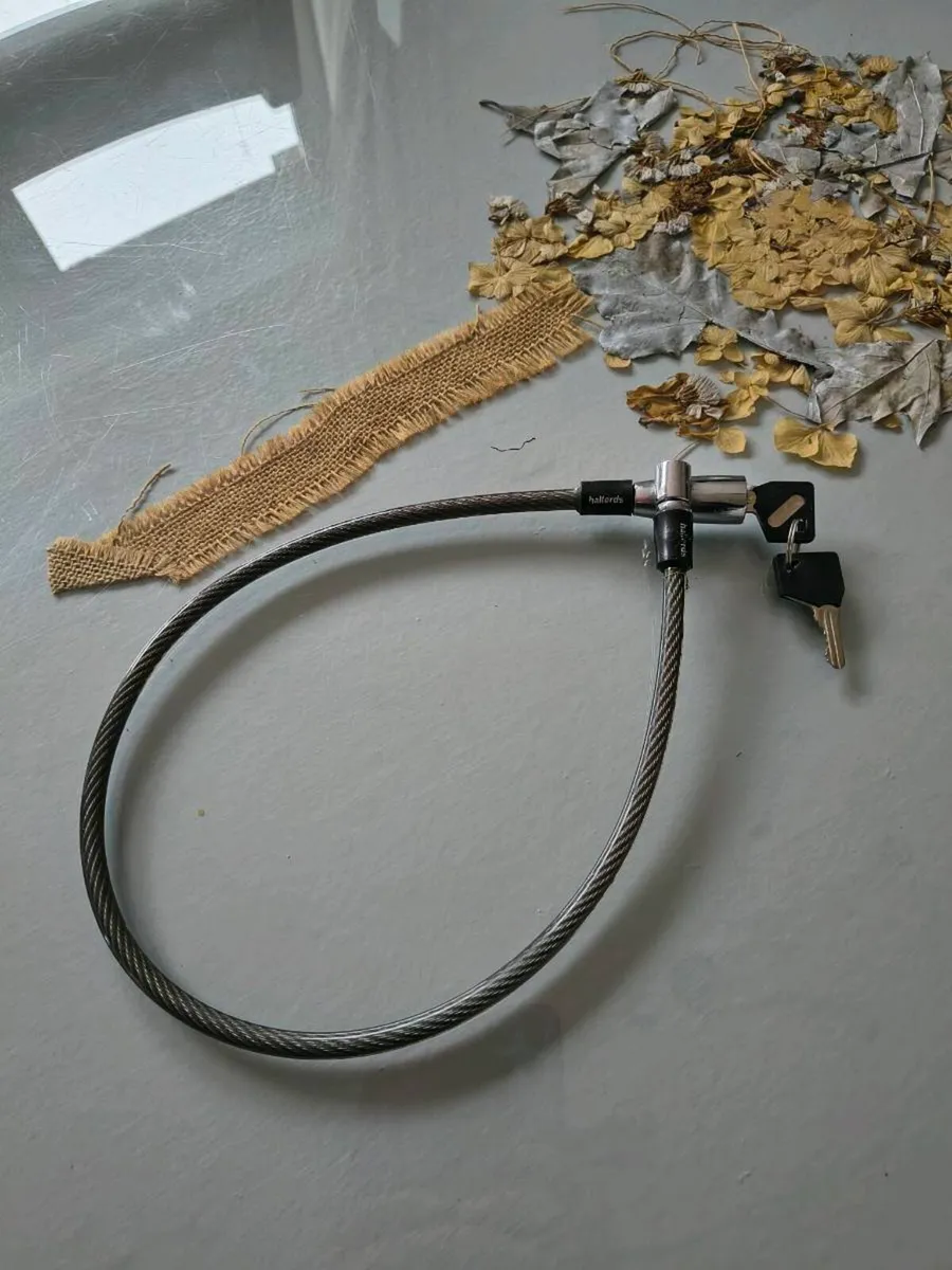 Bicycle lock - Image 1