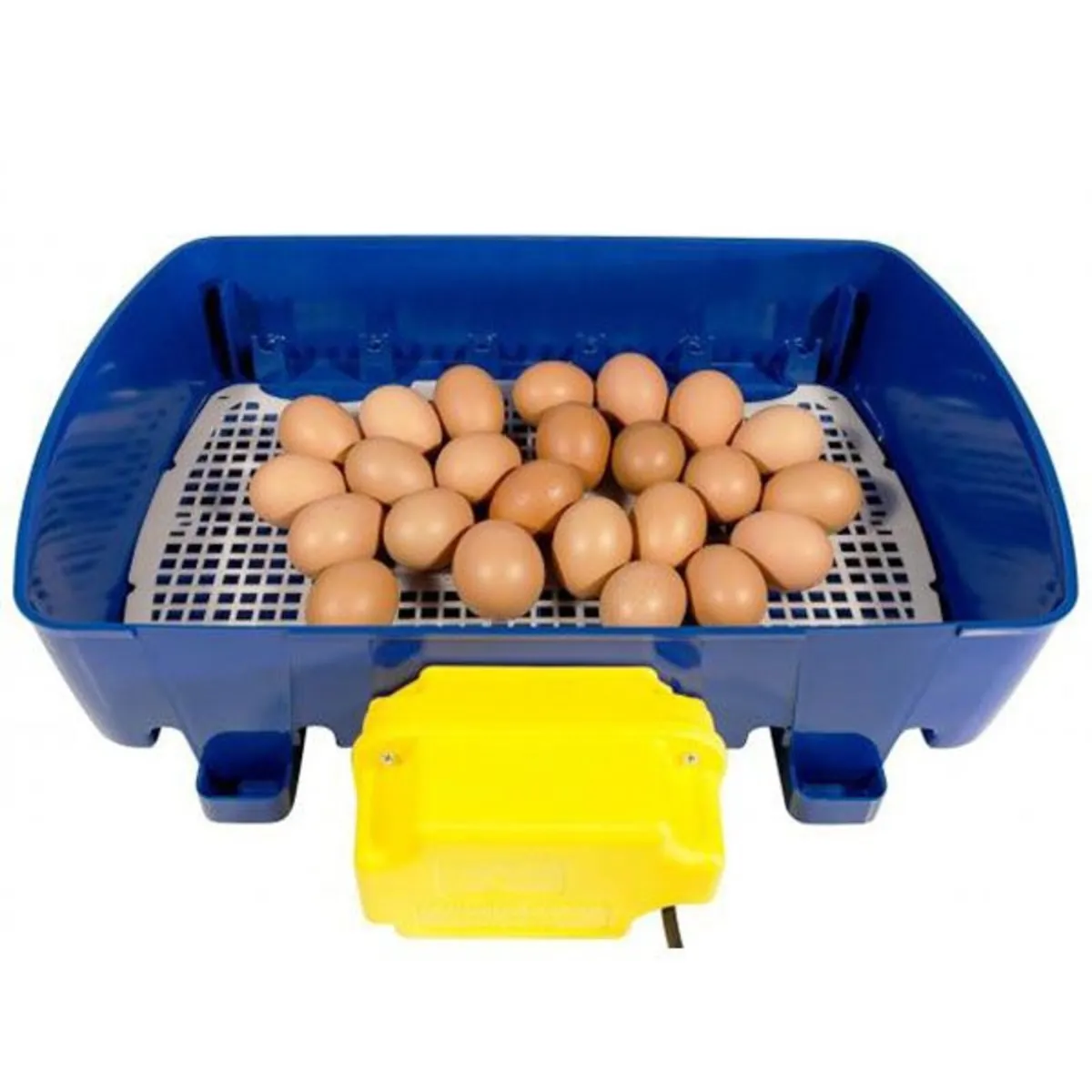 Incubator Shop Ireland - Brinsea - River - Borotto - Image 4