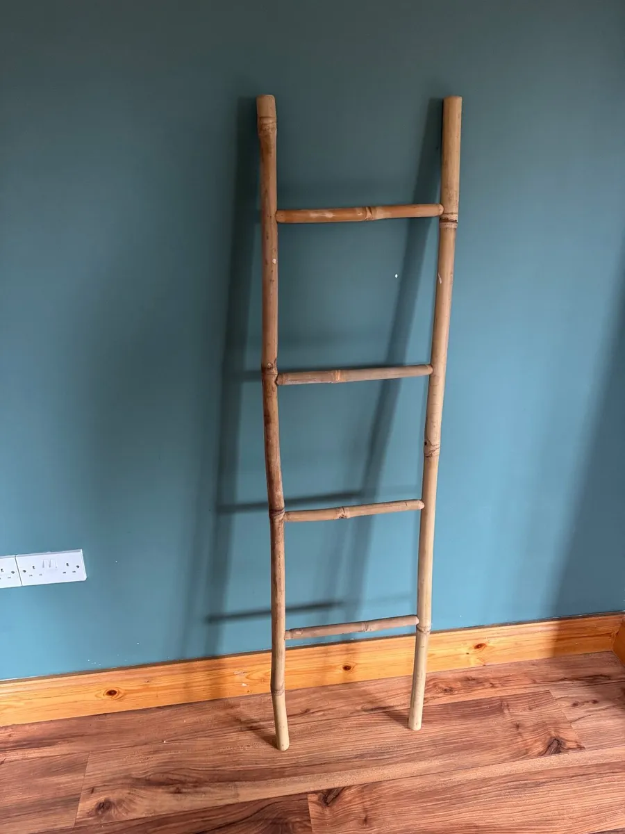Ladder bamboo